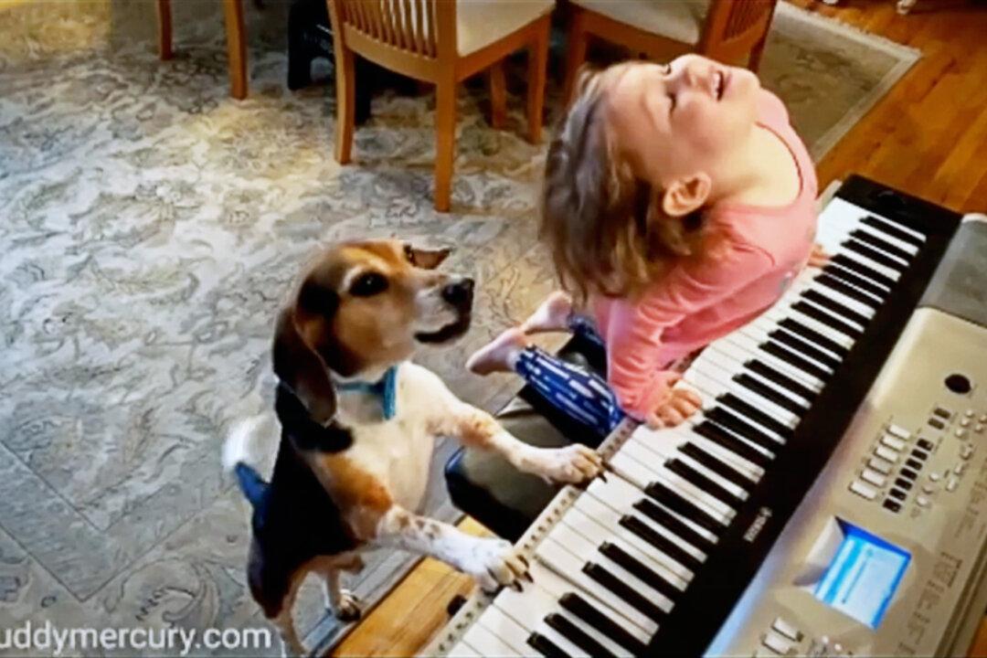 VIDEO: Blind Dog Loves to Play Piano and Sing With His Sister, Making the Cutest Band Ever