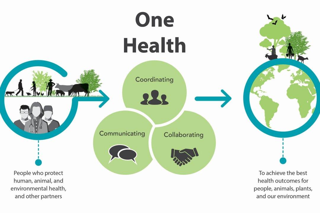 One Health, Holistic Medicine, and the Poisoning of Minds