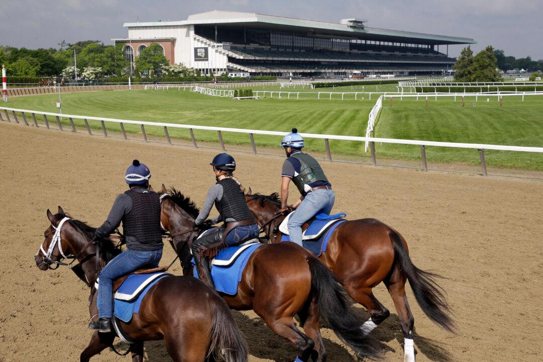 6-Year-Old Horse Dies at Belmont Park After Race Injury; Chaysenbryn Euthanized on Track