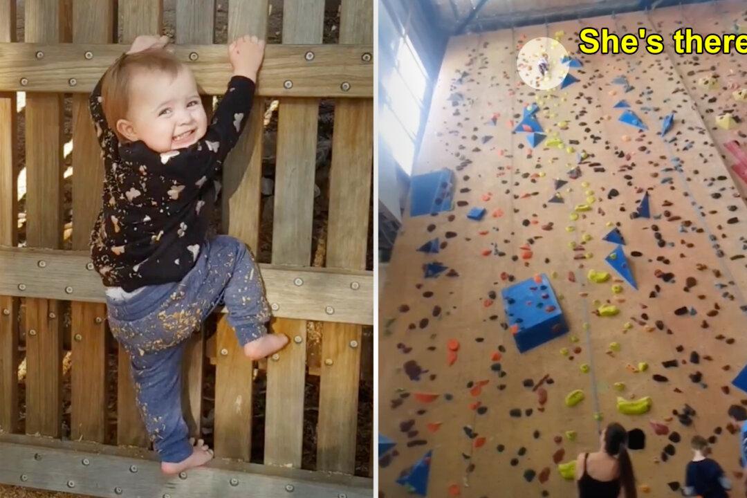 Toddler Who’s Been Climbing Since She Was 11 Months Can Now Scale 52-Foot Walls
