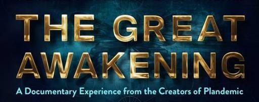 “The Great Awakening” is the third and latest installment in filmmaker Mikki Willis' "Plandemic" documentary series, released in June 2023. (Screenshot/Plandemic Series)