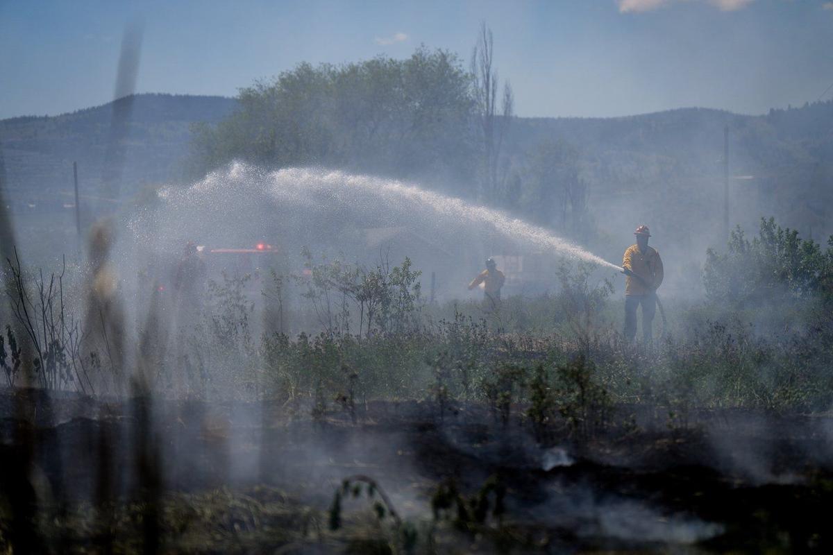 Vancouver Island Road Closed, Campfire Bans, as Drought Raises Wildfire Risks in BC