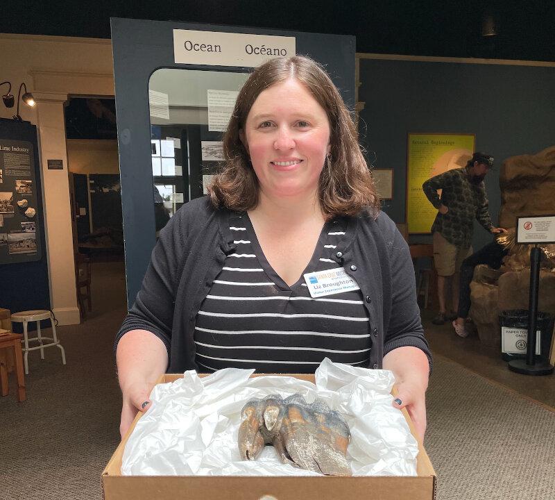 Woman Found Ice-Age Mastodon Tooth on California Beach