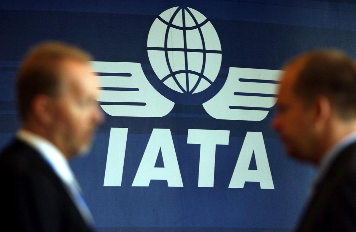 Airline Profitability Strengthens This Year Despite Economic Slowdown