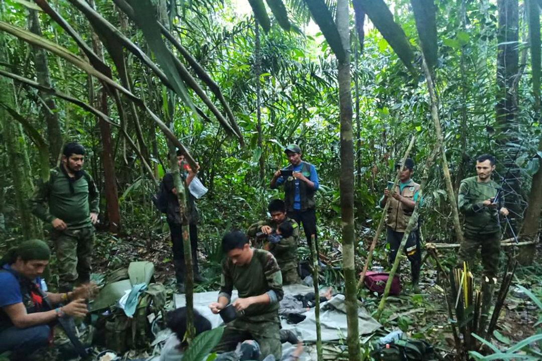4 Colombian Children Found Alive in Jungle Weeks After Plane Crash