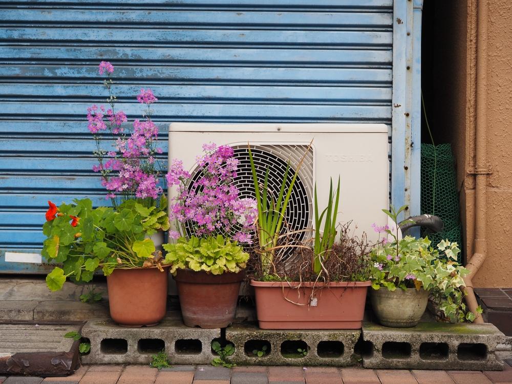 Summer is the time to trim back any landscaping that might obstruct airflow to your outdoor condenser unit. (Ned Snowman/Shutterstock)