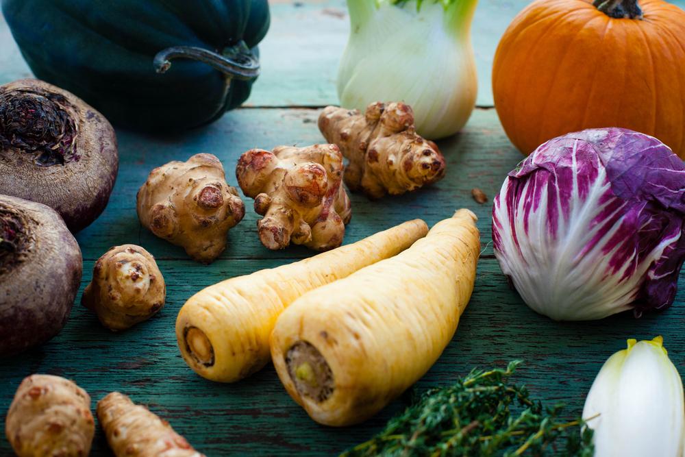 The Winter Garden: Now’s the Time to Start Planning