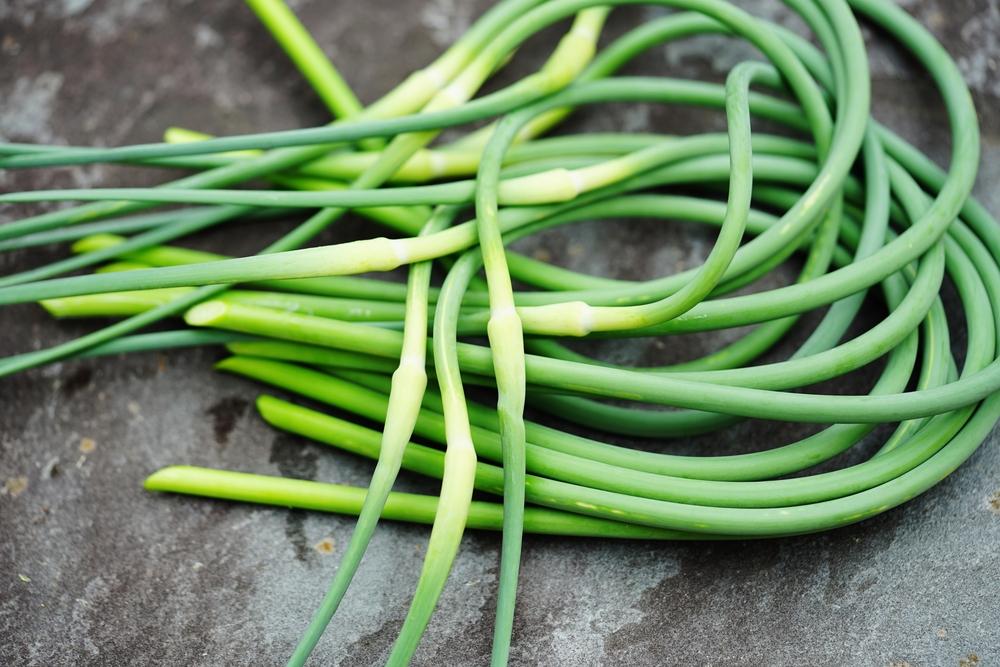 Garlic Scapes: How to Cook With These Short-Lived Seasonal Treasures
