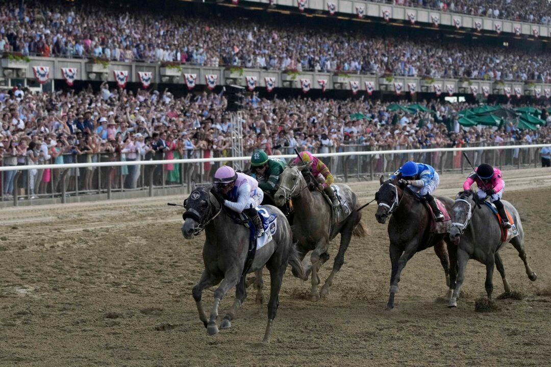 2 Horses Die at Belmont Park After Belmont Stakes