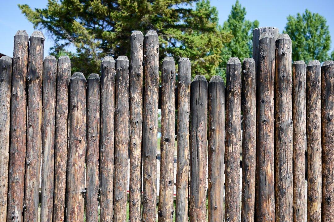 Build a Stockade Fence