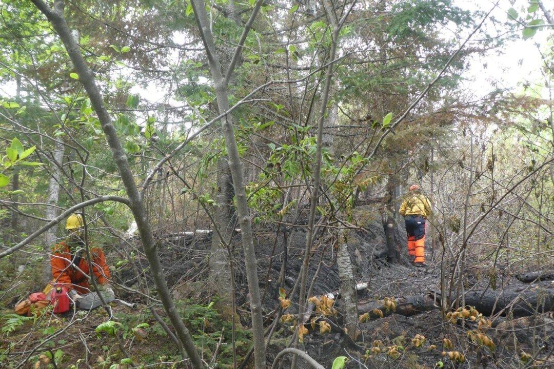 Quebec Makes Progress Against Record Wildfire Season as Blaze in BC Grows