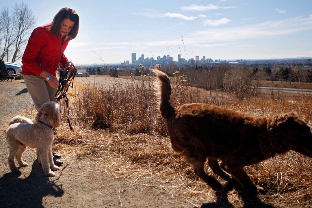 ‘I Went in for a Shift’: Premier Smith Washes Dishes at Family Restaurant on Weekend