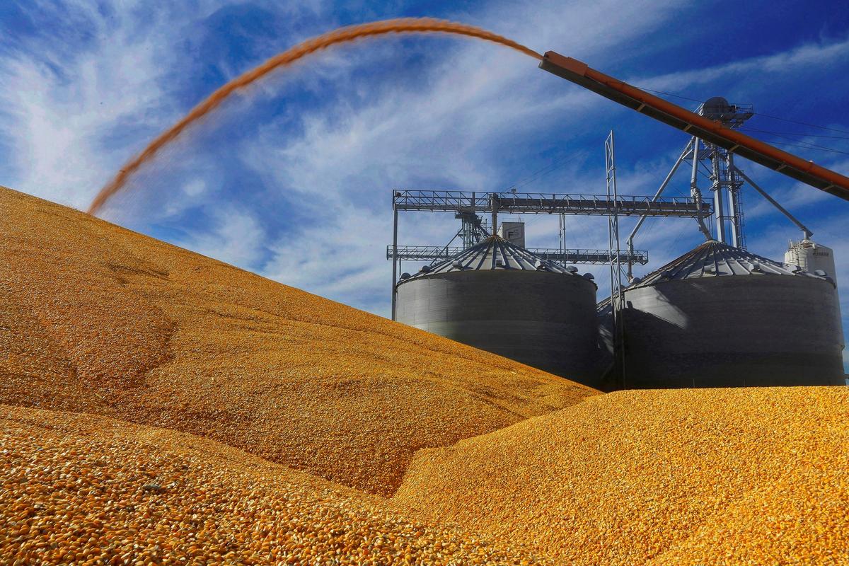 1 Dead, 2 Injured in Texas Grain Elevator Collapse