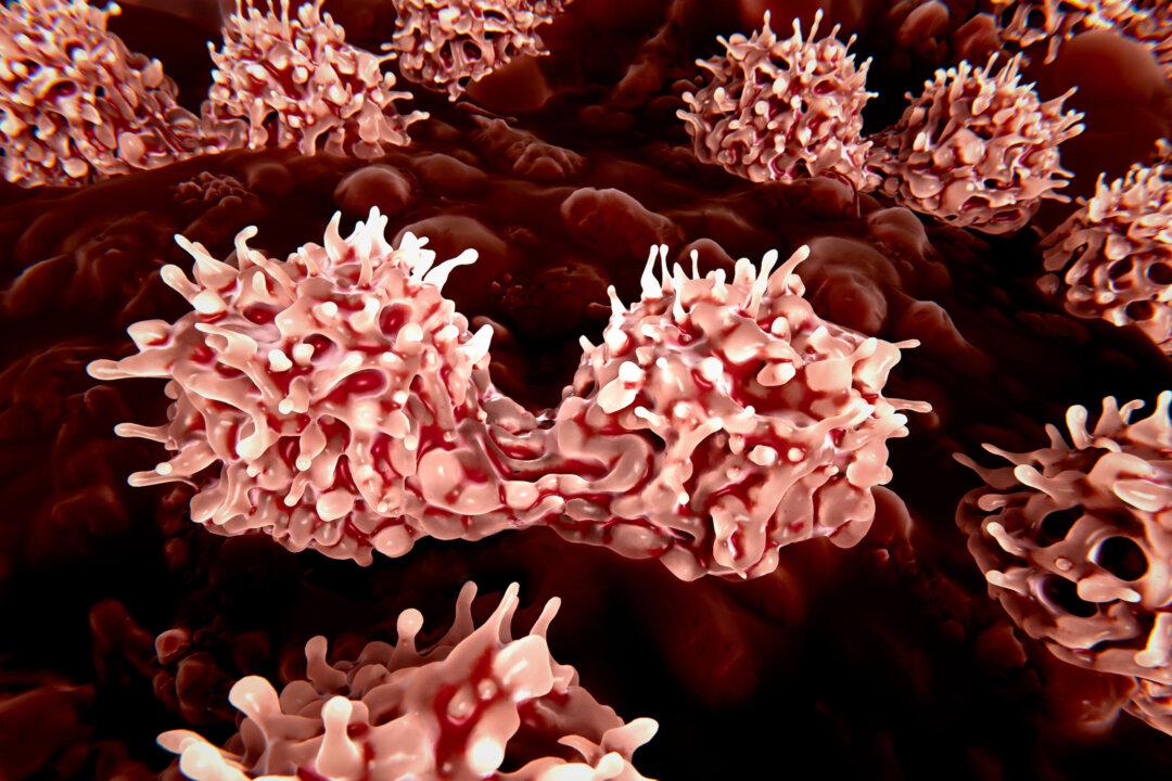 Stem Cell Gene Therapy Trial for Children Launches in Australia