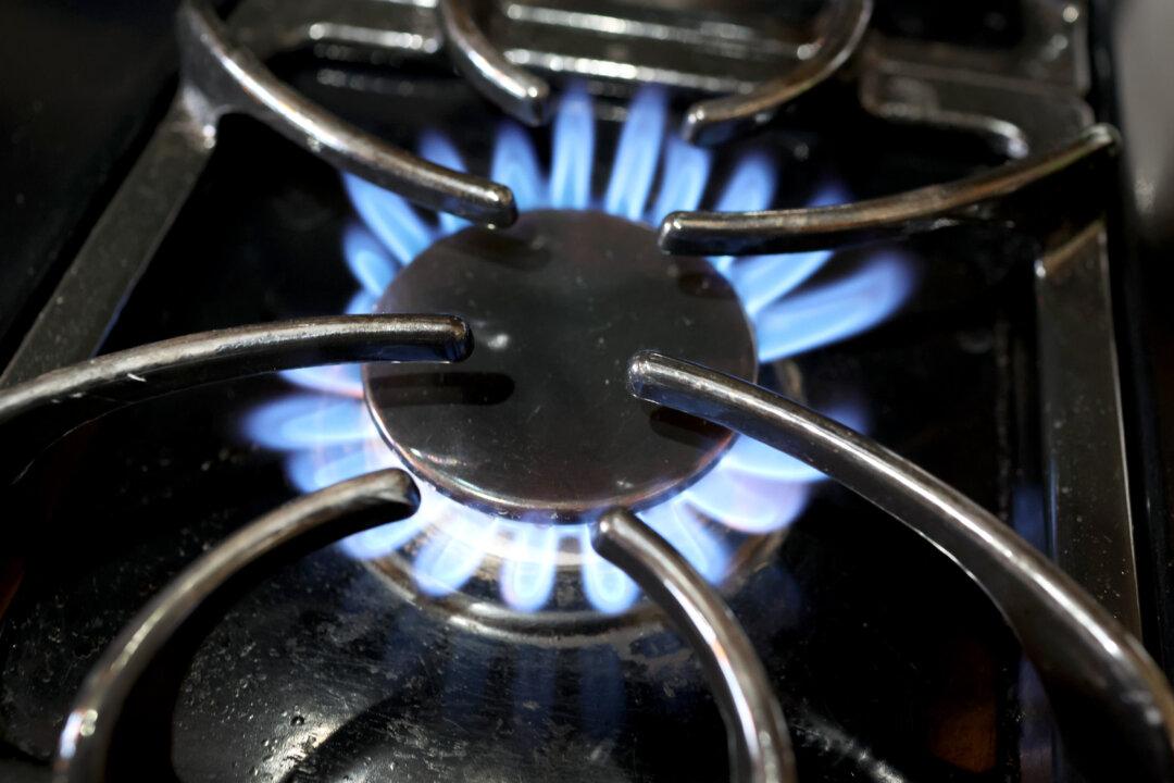 US Utilities Lobby Congress to Keep Gas Stoves Legal