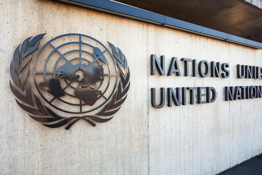 United Nations Countering ‘Deadly Disinformation’ Through Creation of ‘Digital Army’