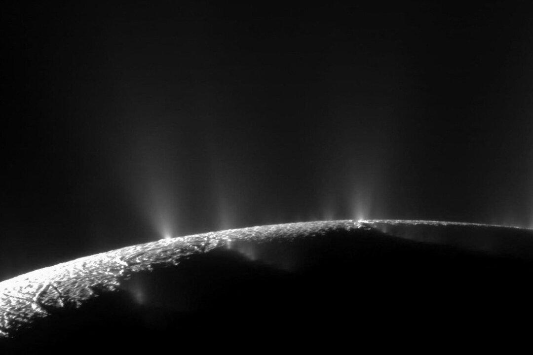 Saturn’s Icy Moon Enceladus Harbors Essential Elements for Life