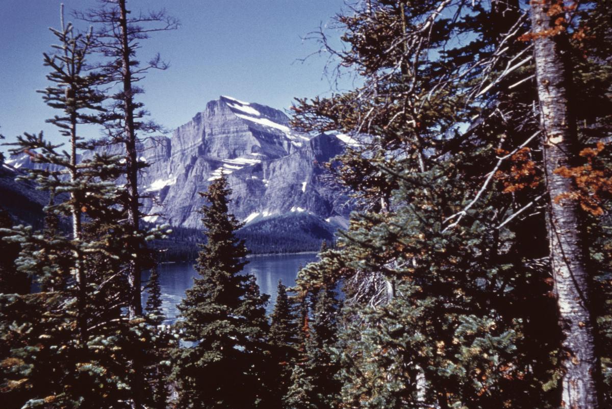 Gen Z Climate Change Activists Call on the Court to Force Montana to ‘Go Green’