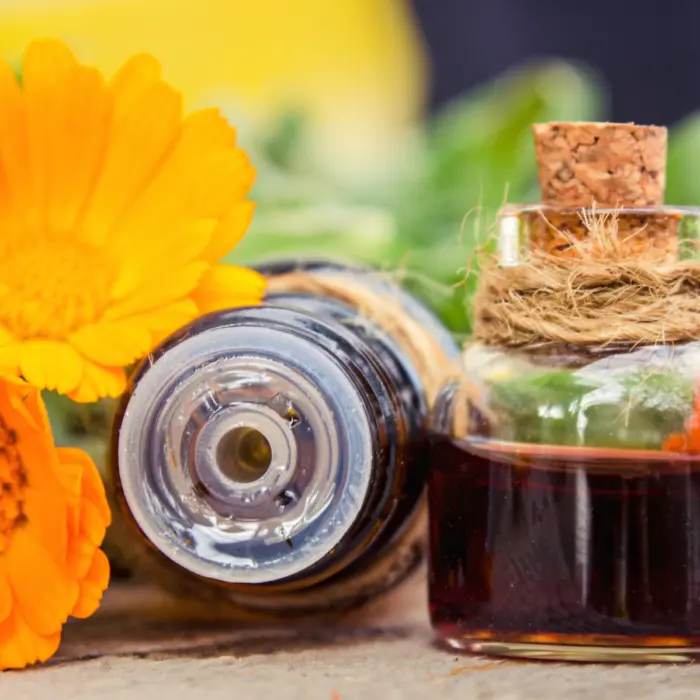 The Medieval Soup Ingredient That Can Still Beat Your $150 Serum