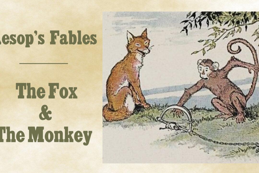 The Jungle Holds a New Election: The True Leader Proves Himself by His Qualities