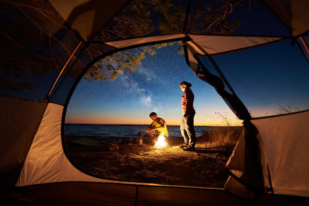 Take a Walk in the Woods