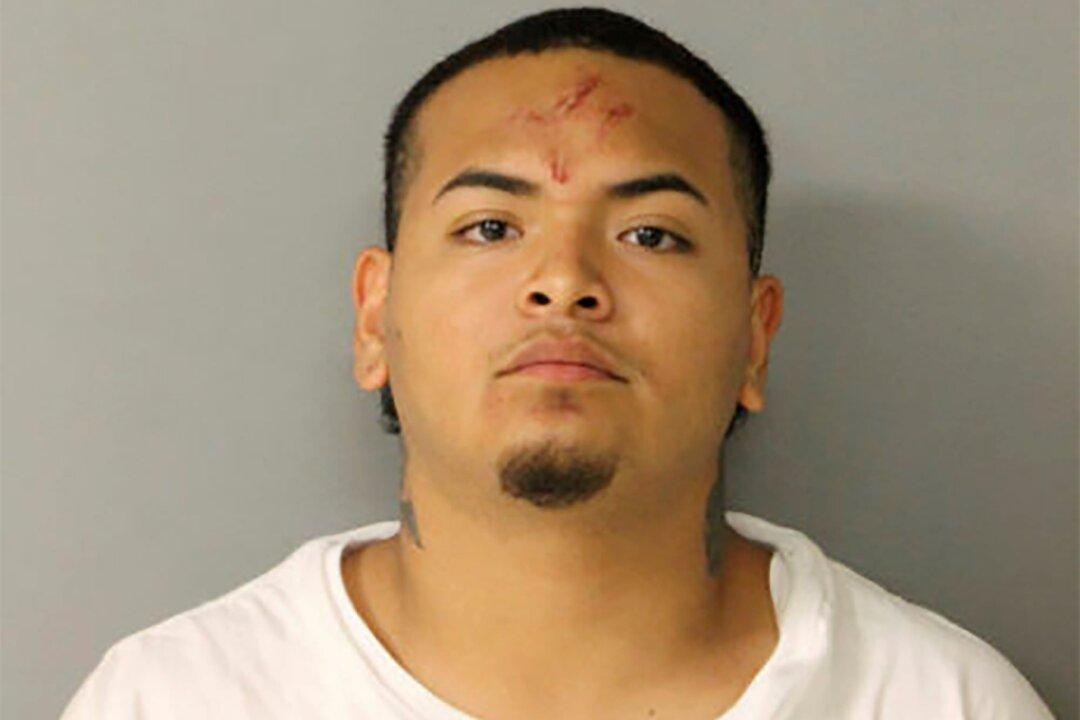 Chicago Man Faces Multiple Charges in Hit-and-Run That Injured 4 Outside Ballpark