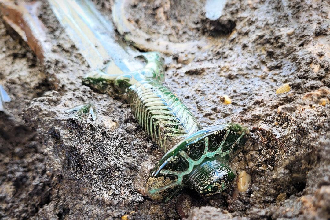 Archeologists in Germany Find 3,000-Year-Old Bronze Age Sword So Well-Preserved It ‘Almost Still Shines’