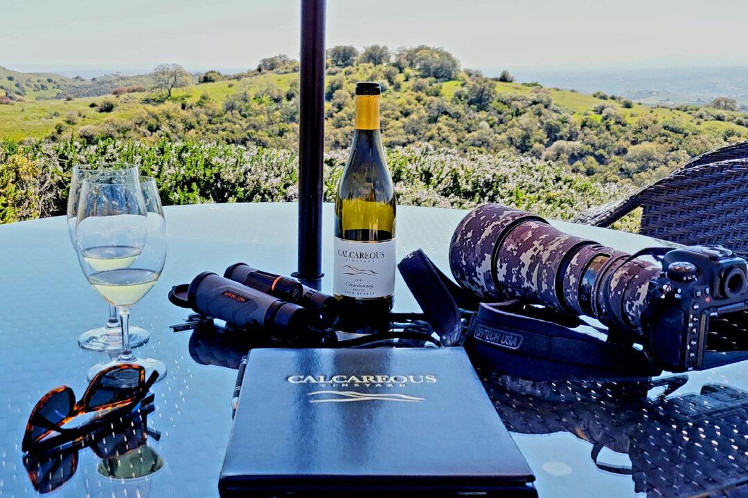 Days of Wine and Warblers in Paso Robles