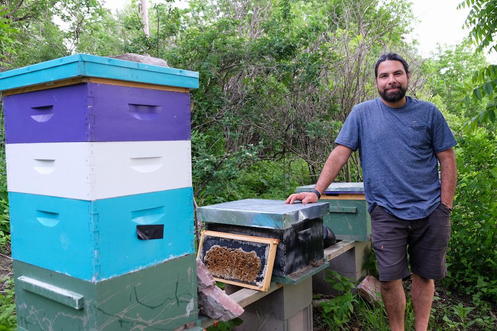 Camacho stands amid the beehives where he was robbed by a city drug addict last fall. (Annie Holmquist)