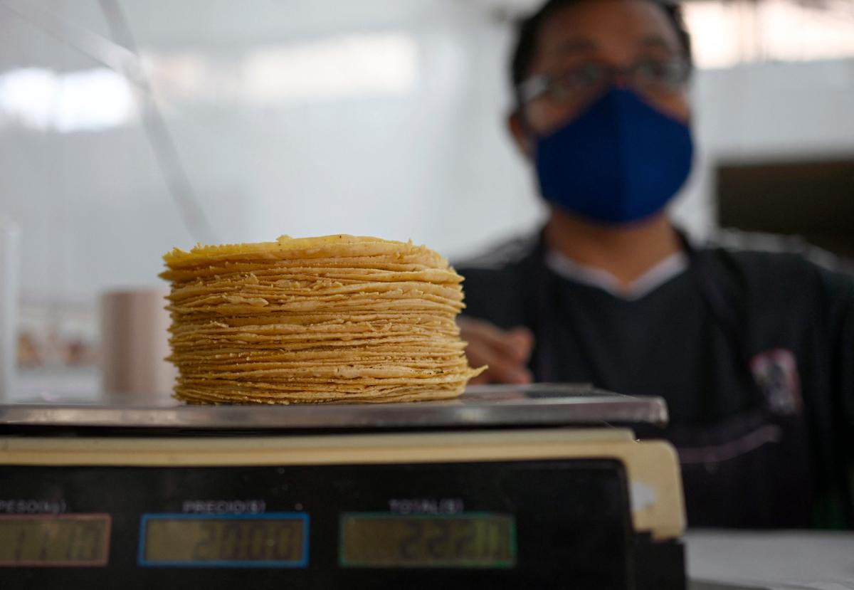 Tortilla Prices Could Double After Mexico Increases Tariffs on White Corn by 50 Percent