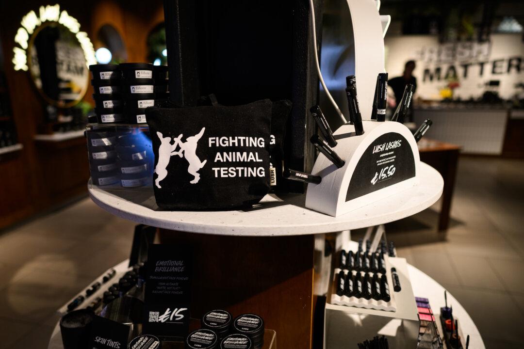 Bipartisan Bill Would End NIH Pain Tests on Cats and Dogs