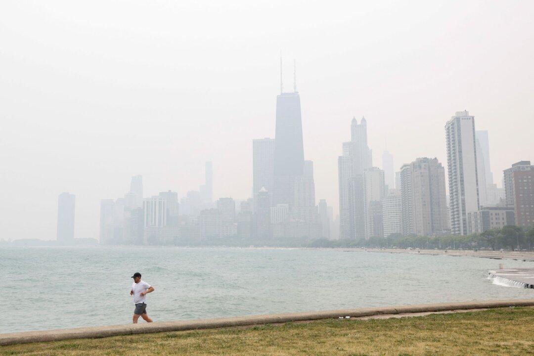 Wildfires in Canada: Global Warming or Socialist Forests?