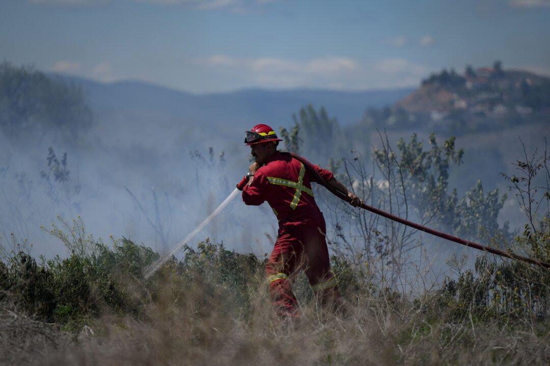 All 2023 Vancouver Island Wildfires Were Human-Caused: BC Fire Centre