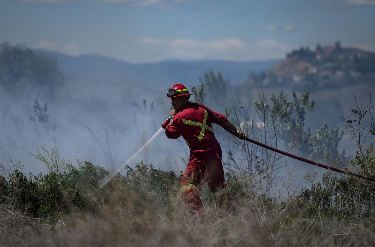 All 2023 Vancouver Island Wildfires Were Human-Caused: BC Fire Centre