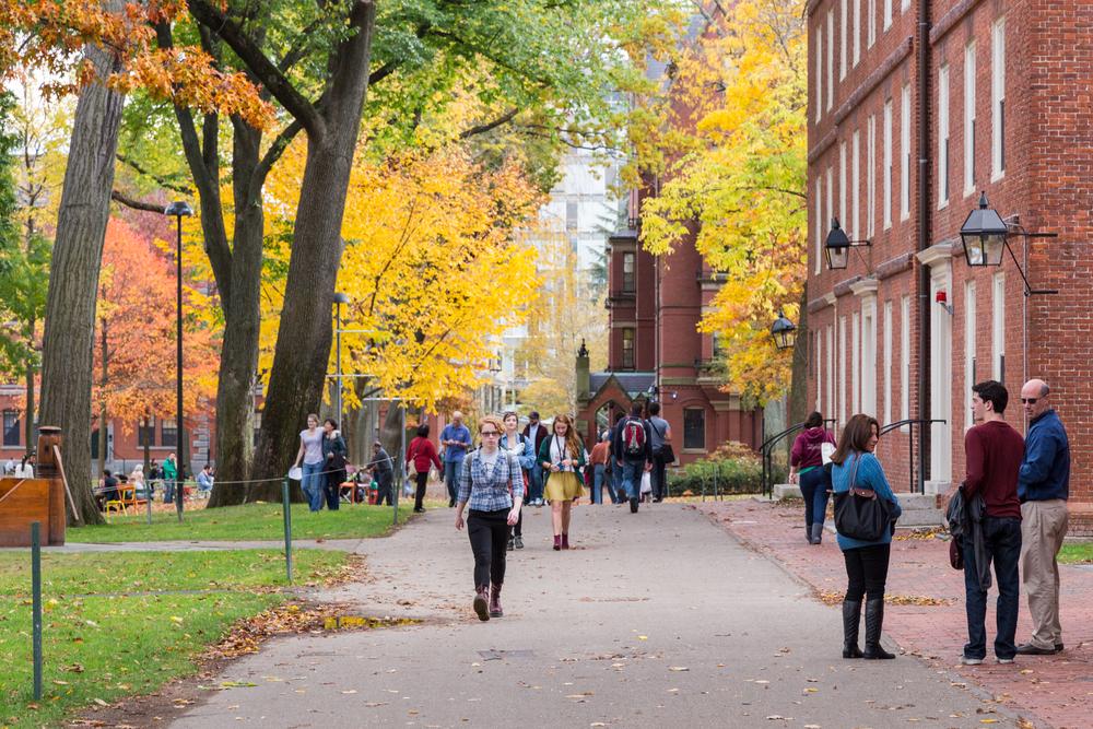 Discrimination by Design: The DEI Logic No One Wants to Face
