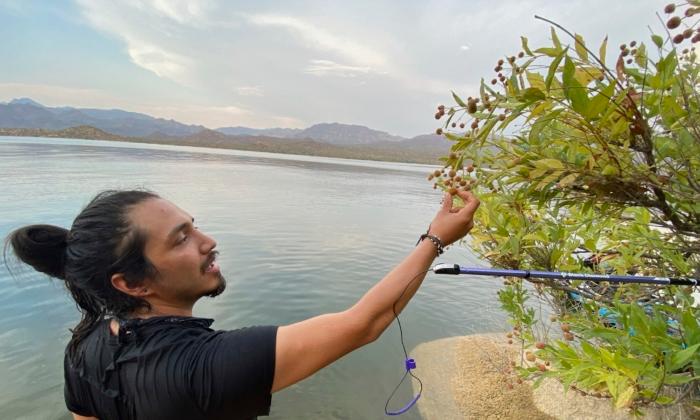 A California Scholar’s Research Into a Flowering Shrub Took Him to Mexico and a Violent Death
