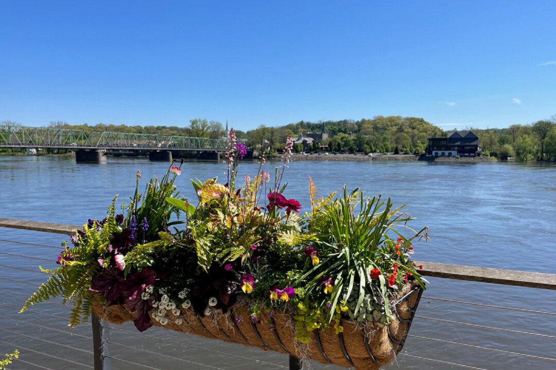 Fun Along the Delaware River