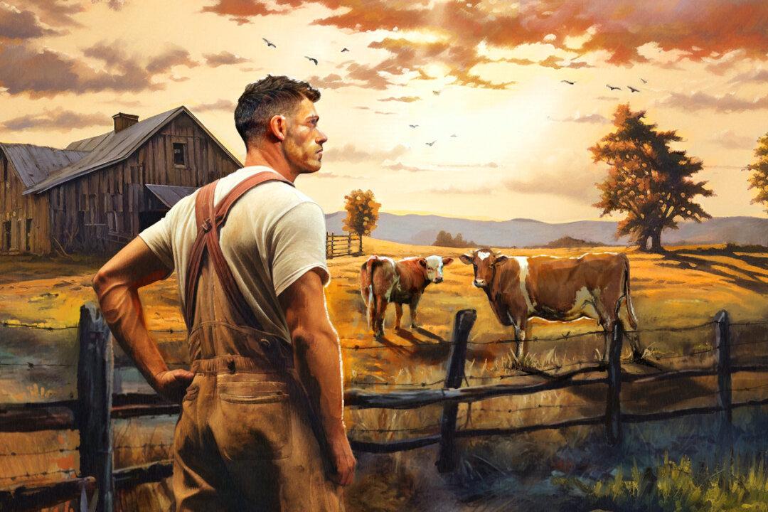 Finding the Ideal in the Real