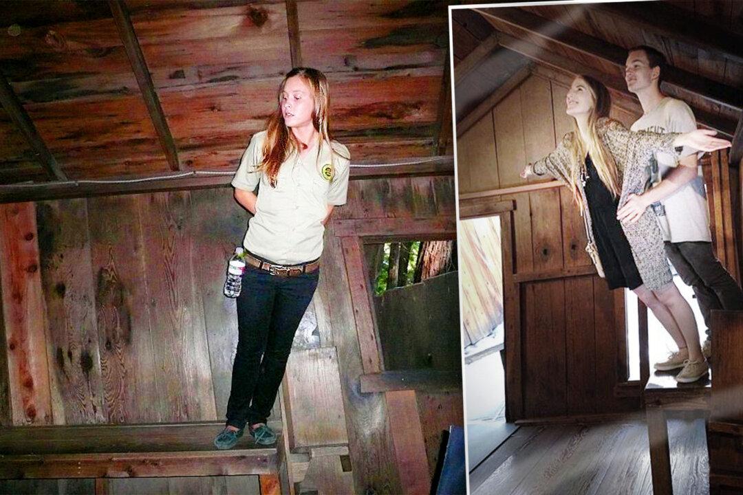 The Laws of Gravity Do Not Apply at Strange ‘Mystery Spot’ in the Woods in California—Here’s Why