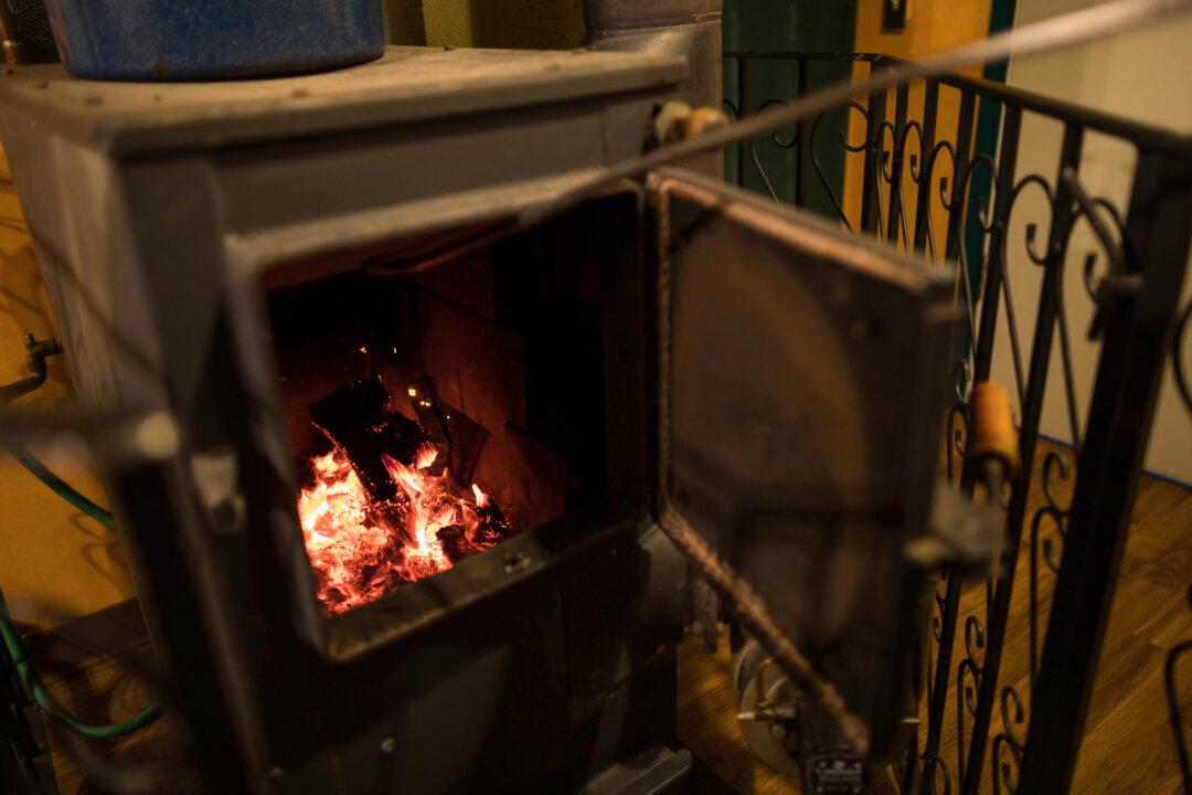 10 States Plan to Sue EPA Over Emissions Standards for Residential Wood-Burning Stoves
