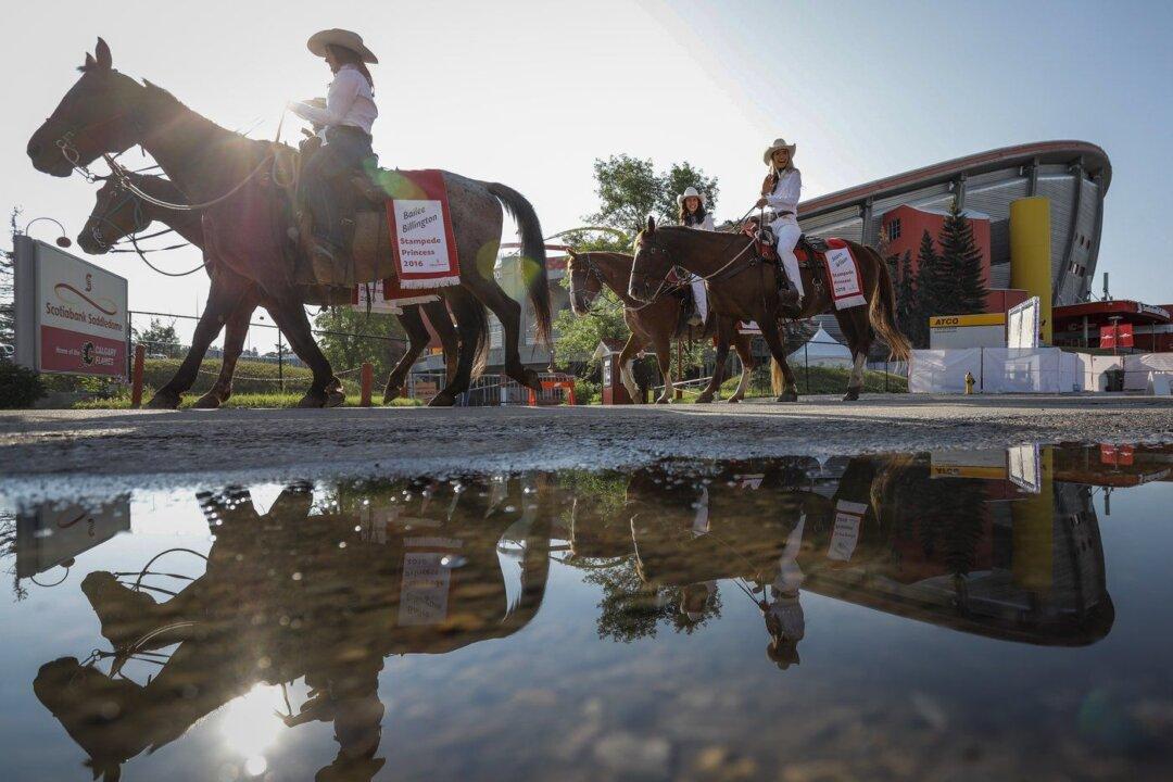 ‘Our Cultural Fabric’: Calgary Stampede Gets Ready to Kick Off Friday With Parade