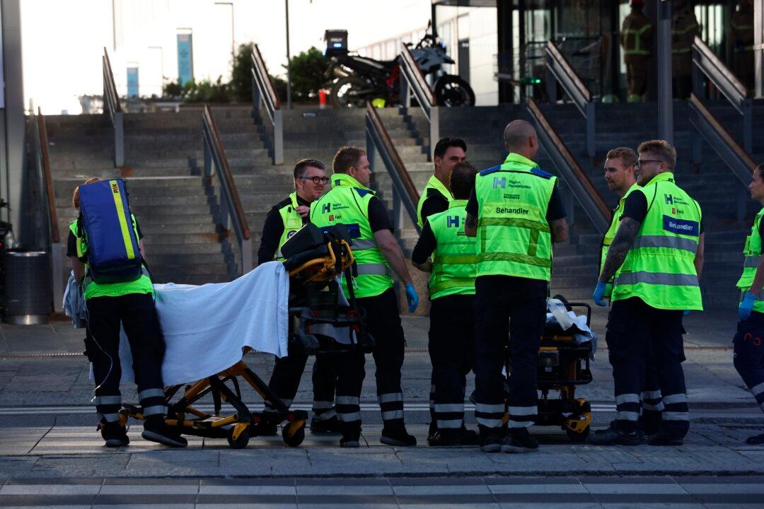 Gunman in Danish Mall Shooting That Killed 3 People Sentenced to Mental Health Facility