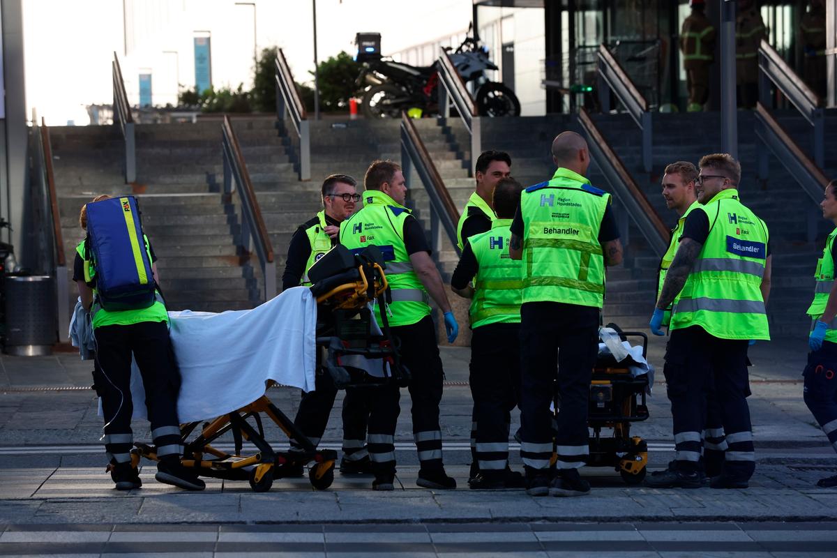 Gunman in Danish Mall Shooting That Killed 3 People Sentenced to Mental Health Facility