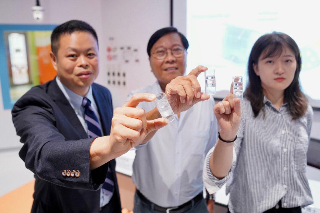 Hong Kong Develops ‘Artificial Mussels’ for Monitoring Oceanic Nuclear Pollution