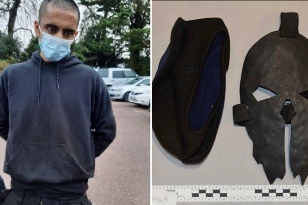 Sanity of Man Who Flirted With AI Chatbot Before Threatening Queen With Crossbow Under Spotlight