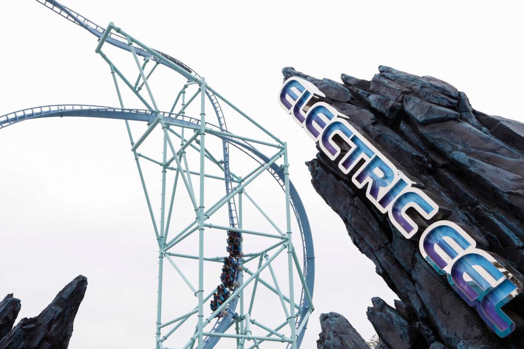 SeaWorld’s Electric Eel Roller Coaster Closed After Injury