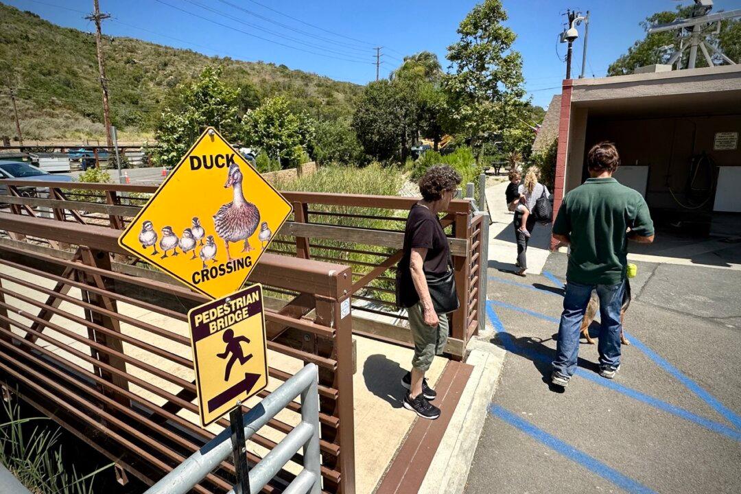 Laguna Beach Animal Shelter Receives $30,000 Donation From Deceased Animal Lover