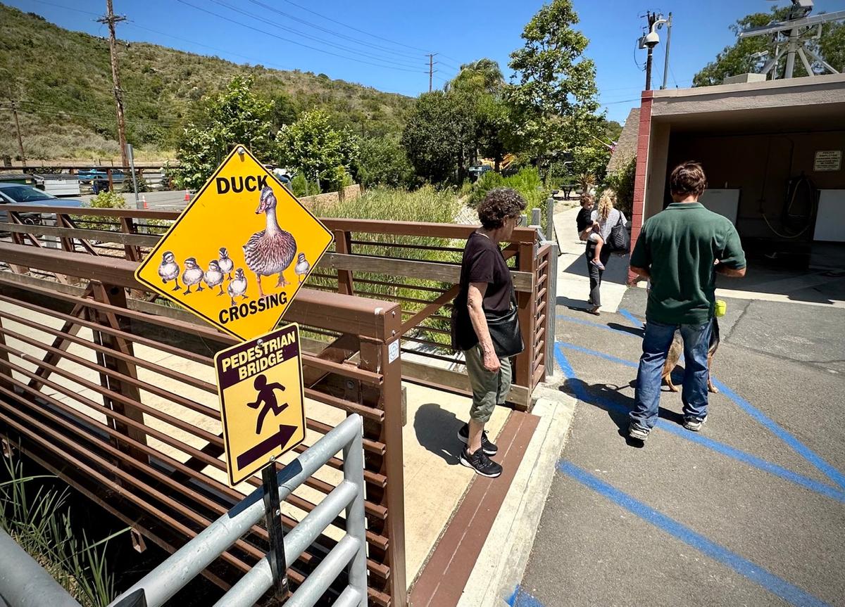 Laguna Beach Animal Shelter Receives $30,000 Donation From Deceased Animal Lover