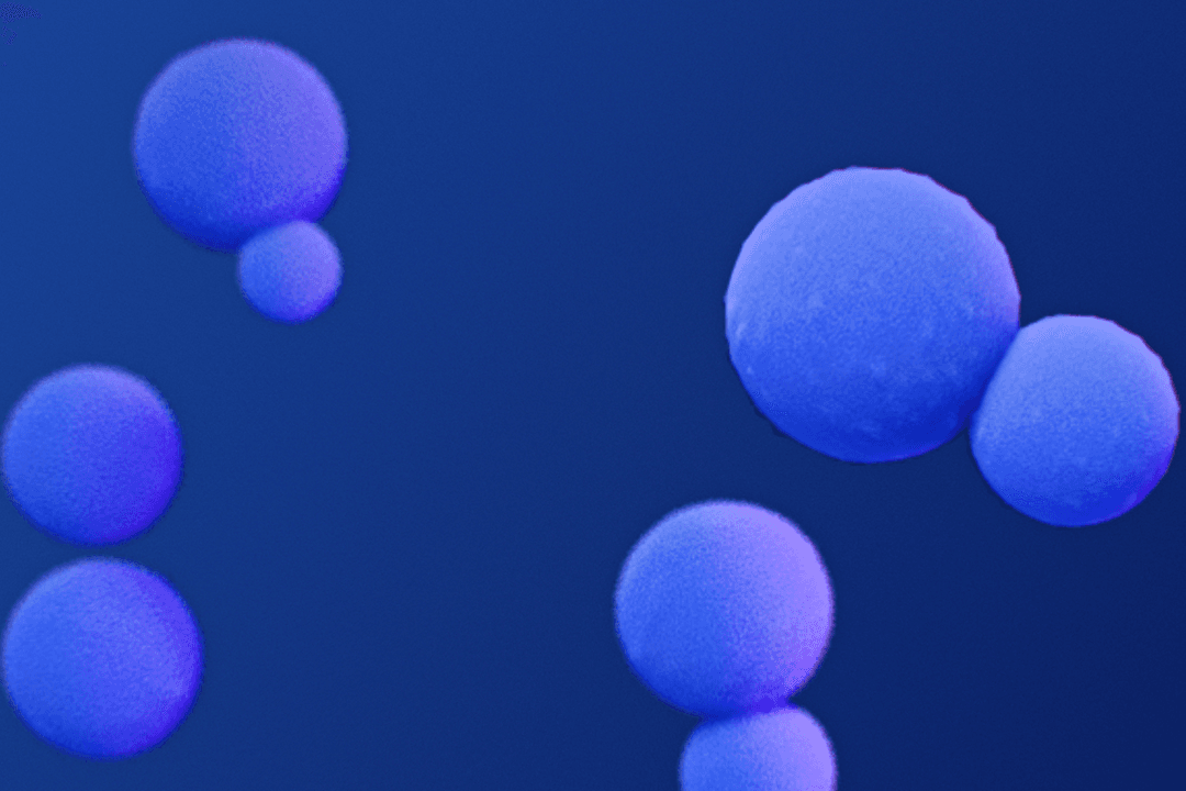 Rare Fungus Found in Soil Leaves Wisconsin Woman Dead