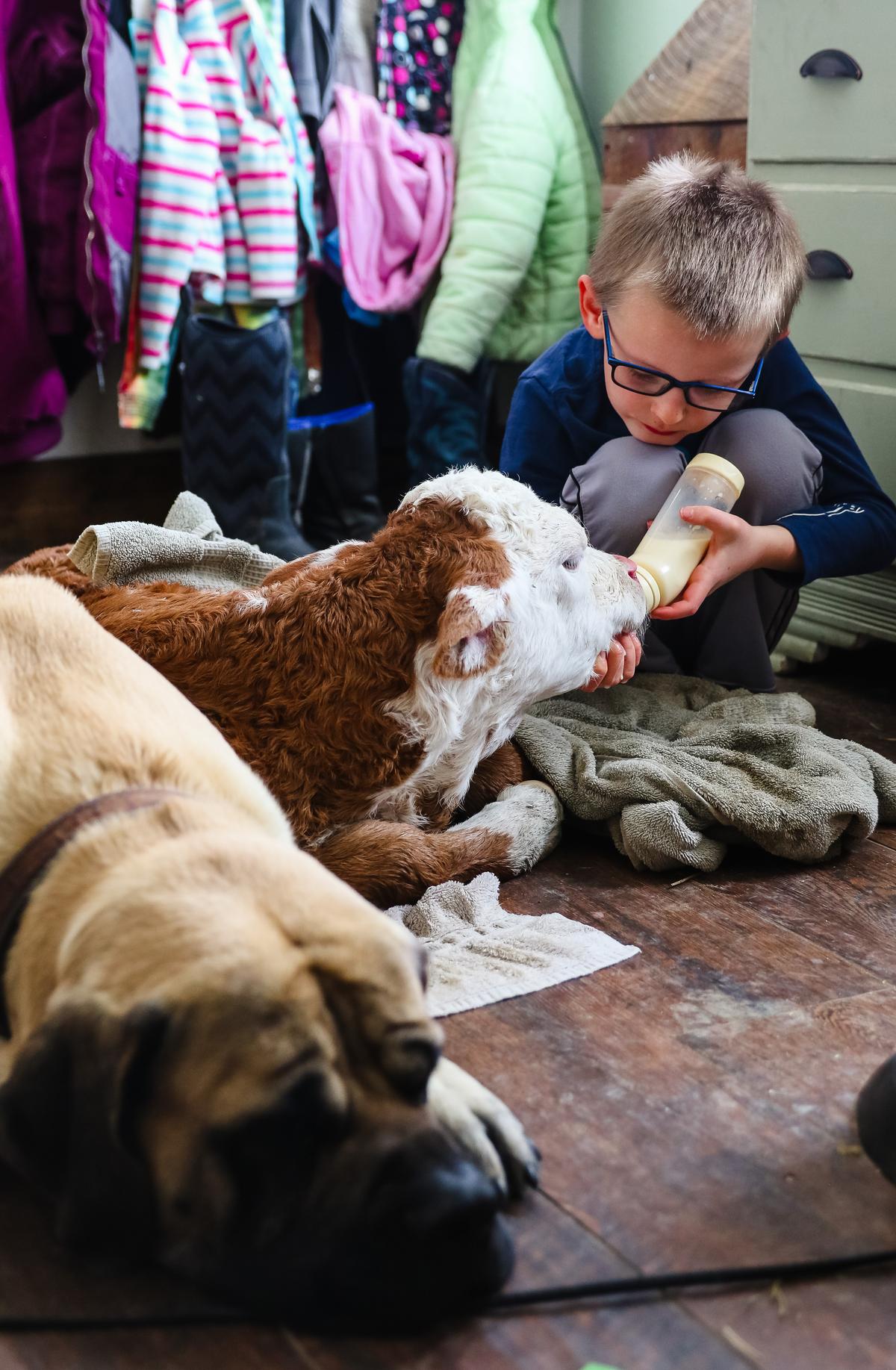 (Courtesy of <a href="https://www.theprairiehomestead.com/">Jill Winger</a>)